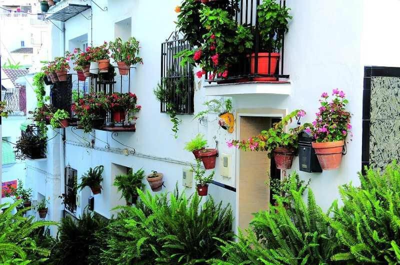La Viajera Apartment Algarrobo Luaran gambar
